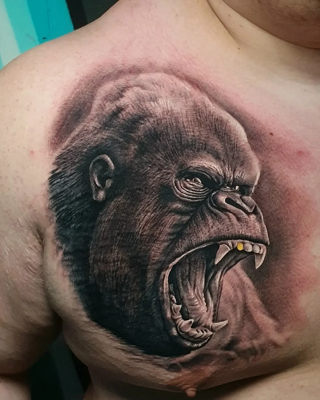 Screaming Gorilla Portrait